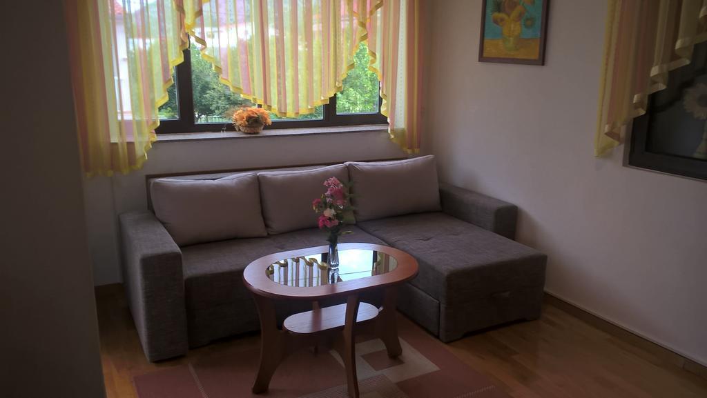 Apartments Jurlina Seline Esterno foto